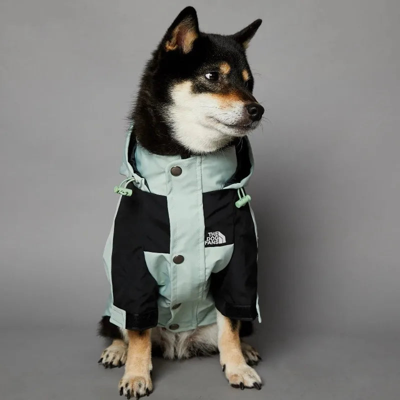 Stylish dog raincoat, all sizes