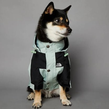 Stylish dog raincoat, all sizes
