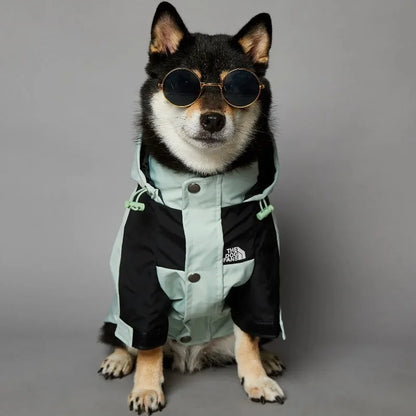 Stylish dog raincoat, all sizes