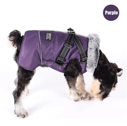 Dog winter jacket with harness, very warm jacket for small and medium-sized dogs
