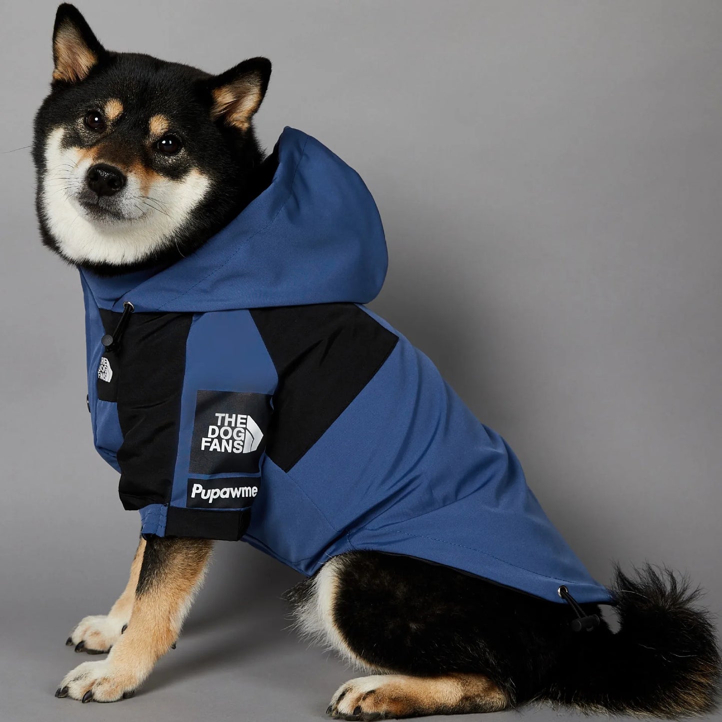 Stylish dog raincoat, all sizes