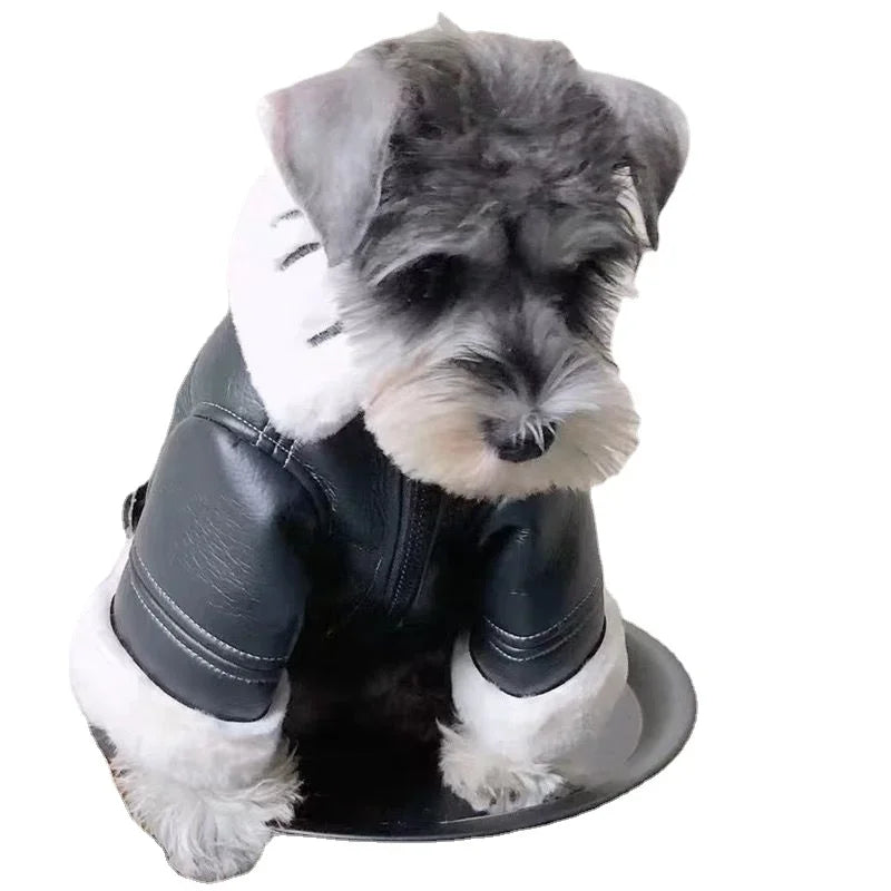 Dog winter coat with fur collar, for small dogs