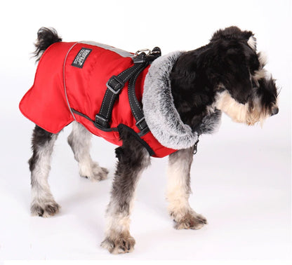 Dog winter jacket with harness, very warm jacket for small and medium-sized dogs