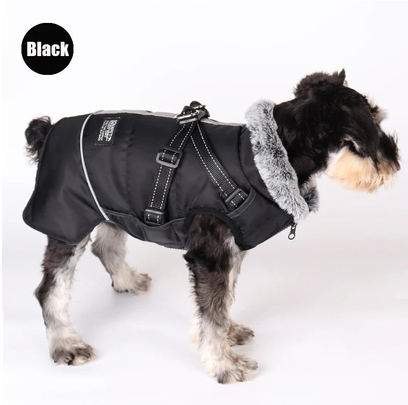 Dog winter jacket with harness, very warm jacket for small and medium-sized dogs