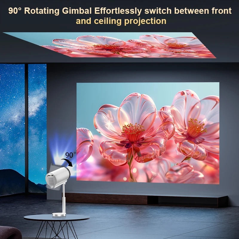 S7e585a6a33384f8d91cfe2f69a3d056fC