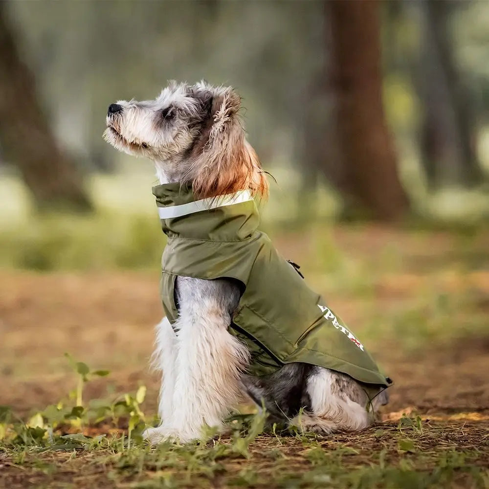 Adjustable dog raincoat, all sizes