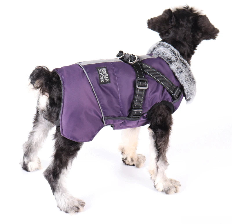 Dog winter jacket with harness, very warm jacket for small and medium-sized dogs