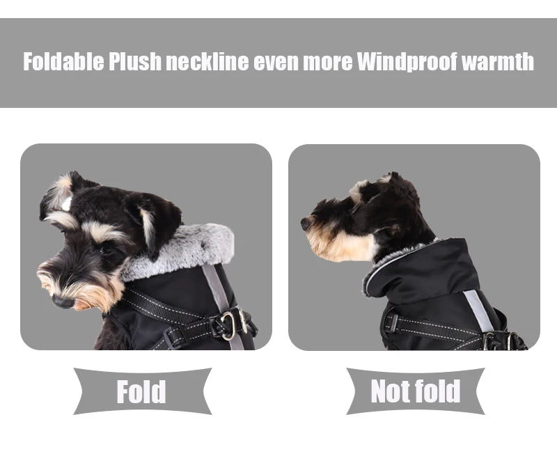 Dog winter jacket with harness, very warm jacket for small and medium-sized dogs