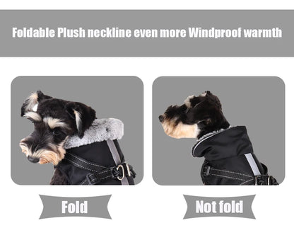 Dog winter jacket with harness, very warm jacket for small and medium-sized dogs