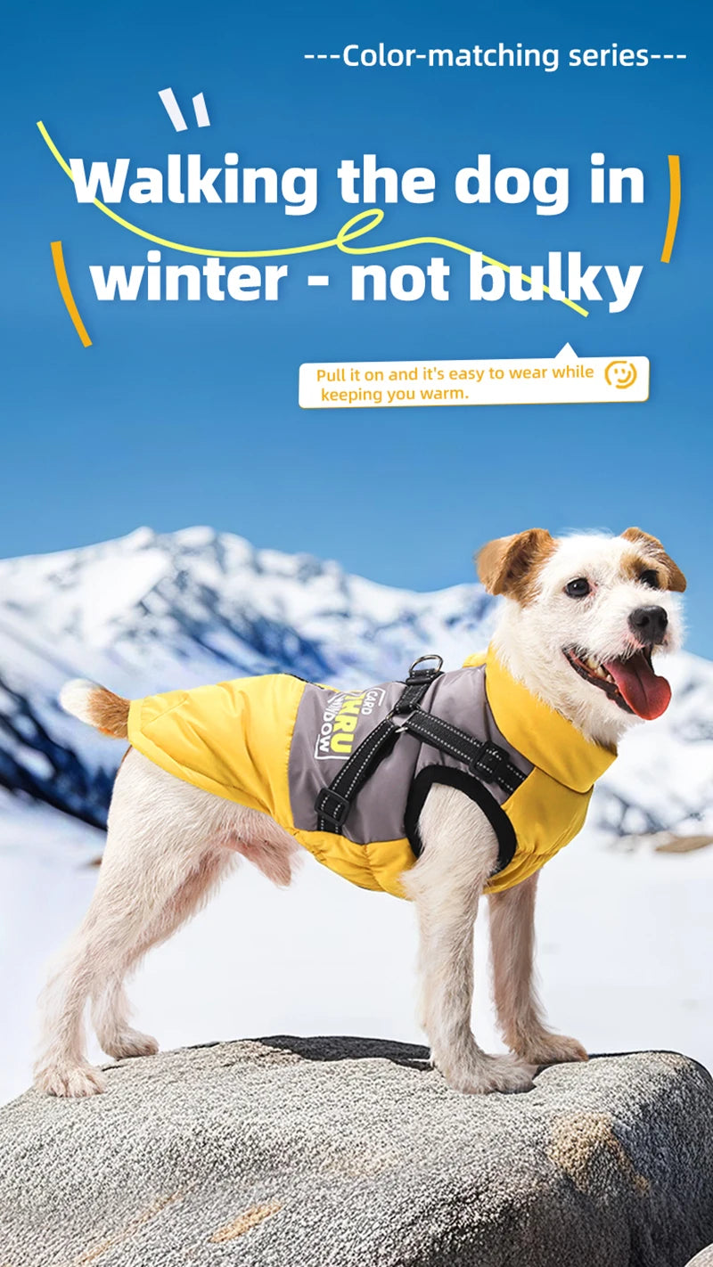 Warm dog winter coat for large dogs