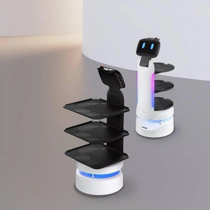 A human-sized intelligent service robot for restaurants