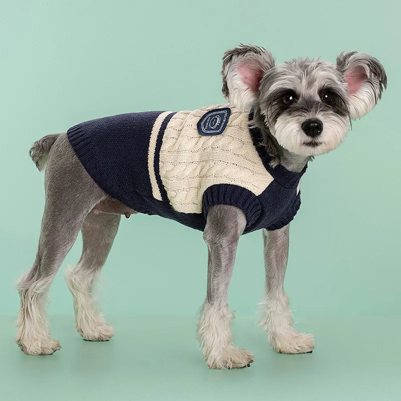 Dog winter sweater, fashionable college-style sweater