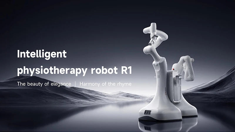 Multifunctional massage robot