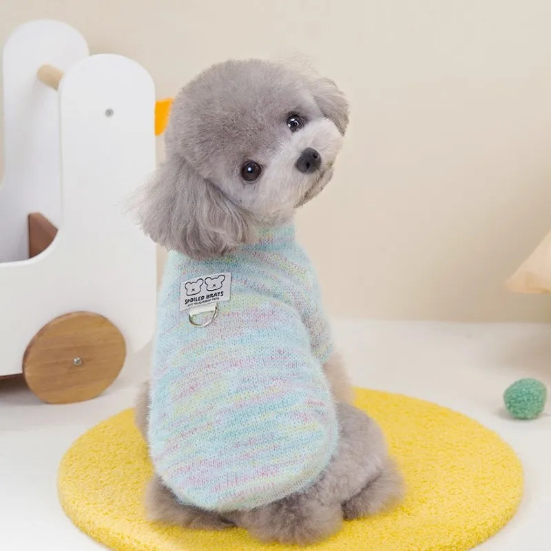 Dog winter sweater, fashionable college-style sweater