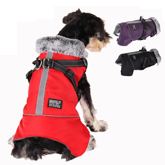 Dog winter jacket with harness, very warm jacket for small and medium-sized dogs