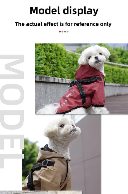 Reflective dog raincoat, for small dogs
