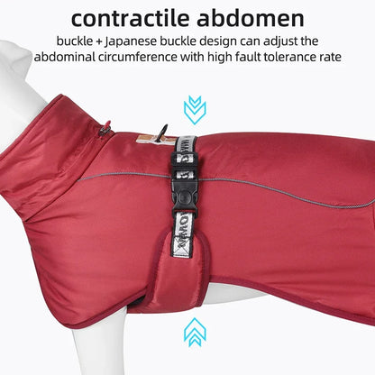Dog winter coat for large dogs, warm and windproof