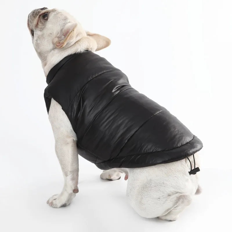 Warm winter dog vest with polo collar, for small, medium and large dogs