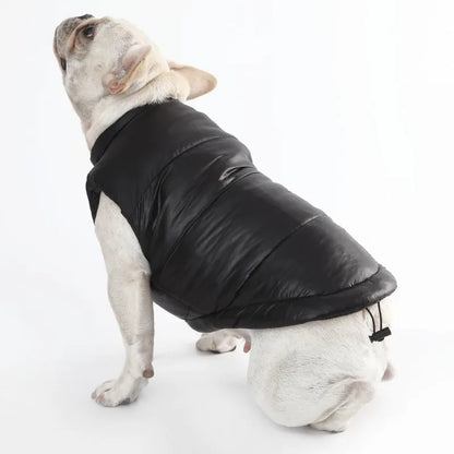 Warm winter dog vest with polo collar, for small, medium and large dogs