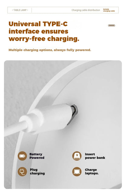 LED bottle light, USB rechargeable, for home, restaurants and bars