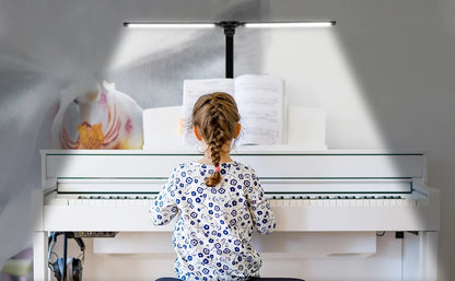 Double-headed LED table lamp, 5 color temperatures, 5 brightness levels