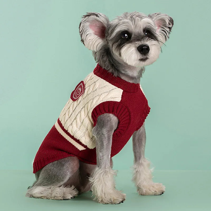 Dog winter sweater, fashionable college-style sweater