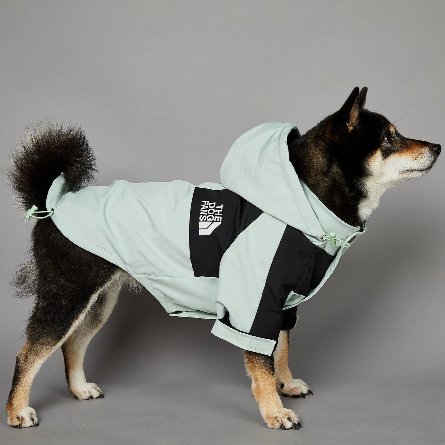 Stylish dog raincoat, all sizes
