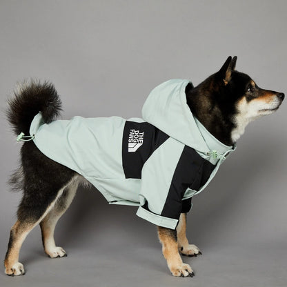 Stylish dog raincoat, all sizes