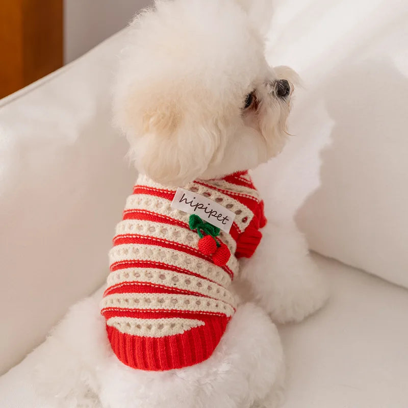 Dog warm knitted winter coat, cardigan style, all sizes