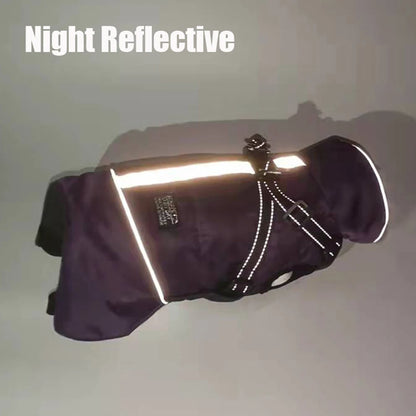 Dog winter jacket with harness, very warm jacket for small and medium-sized dogs