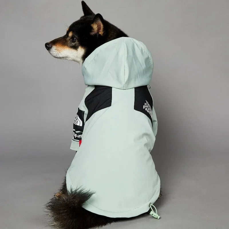Stylish dog raincoat, all sizes