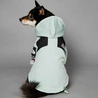 Stylish dog raincoat, all sizes