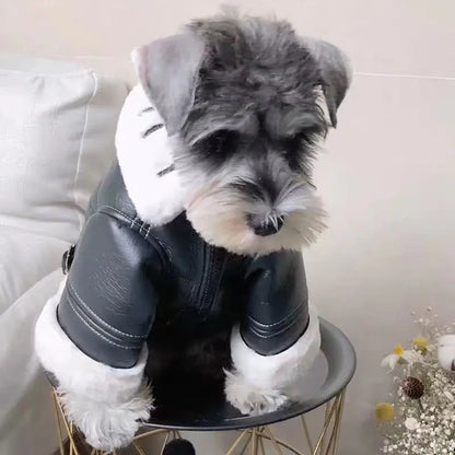 Dog winter coat with fur collar, for small dogs