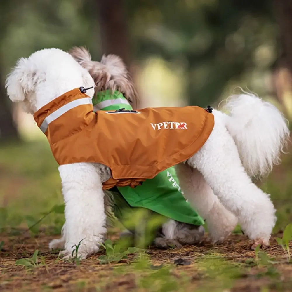Adjustable dog raincoat, all sizes