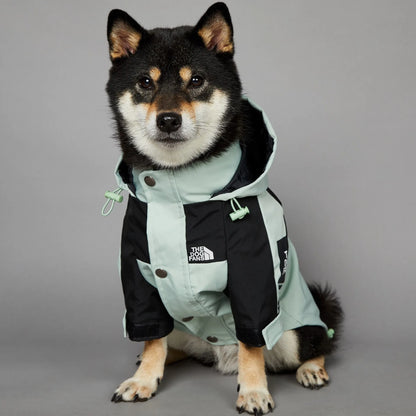 Stylish dog raincoat, all sizes