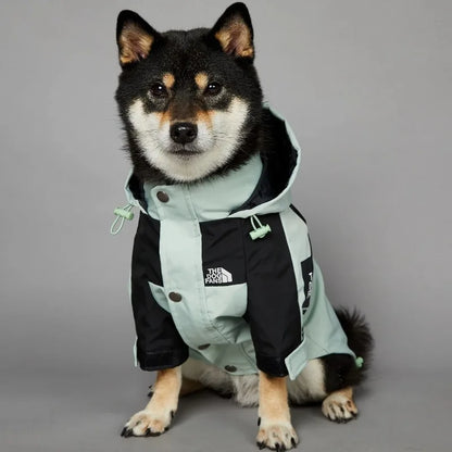 Stylish dog raincoat, all sizes