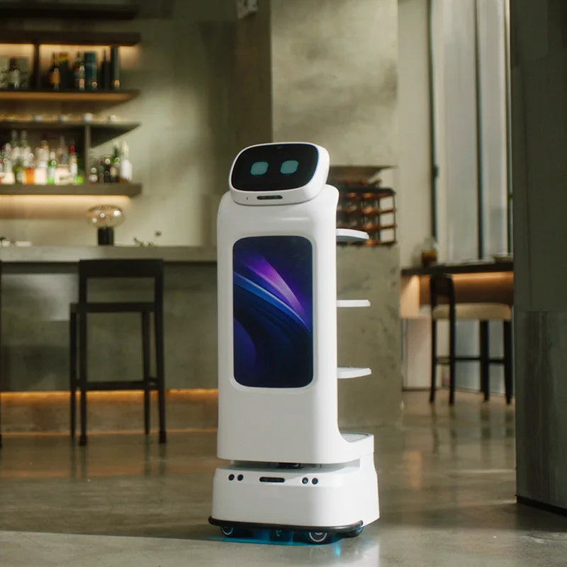 A human-sized intelligent service robot for restaurants